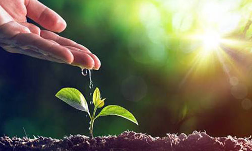 PT Tirta Sempurna Java